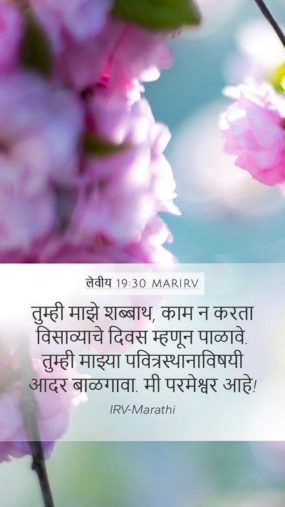 लेवीय 19:30 MARIRV Bible Verse Image