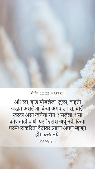 लेवीय 22:22 MARIRV Mobile Phone Wallpaper - आंधळा, हाड मोडलेला, - Mobile Bible Verse Wallpaper