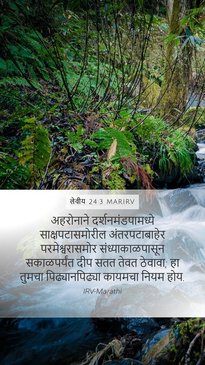 लेवीय 24:3 MARIRV Bible Verse Image