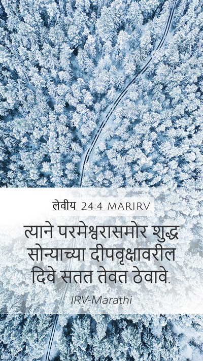 लेवीय 24:4 MARIRV Bible Verse Image
