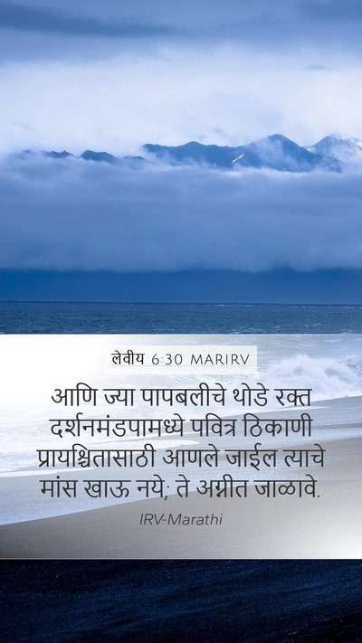 लेवीय 6:30 MARIRV Bible Verse Image