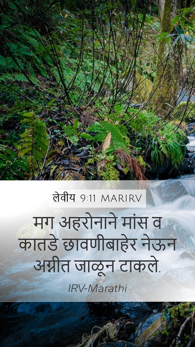 लेवीय 9:11 MARIRV Mobile Phone Wallpaper - मग अहरोनाने मांस व - Mobile Bible Verse Wallpaper