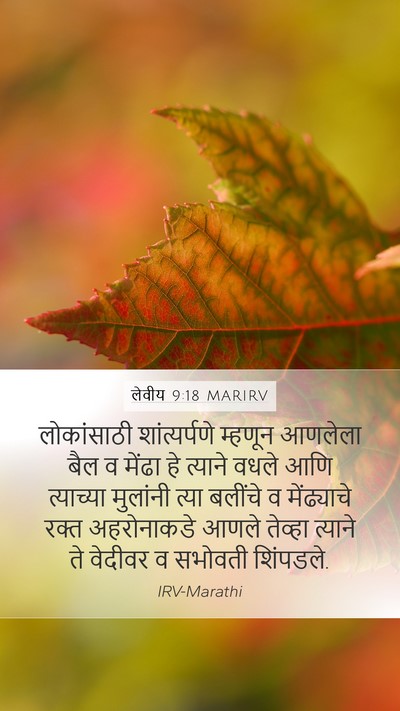 लेवीय 9:18 MARIRV Bible Verse Image