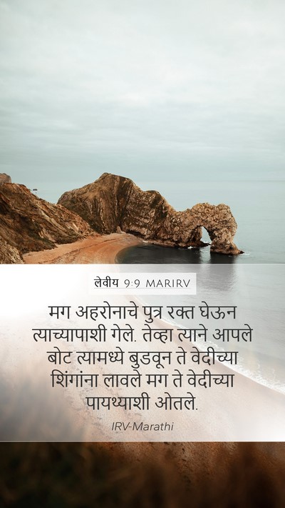 लेवीय 9:9 MARIRV Bible Verse Image