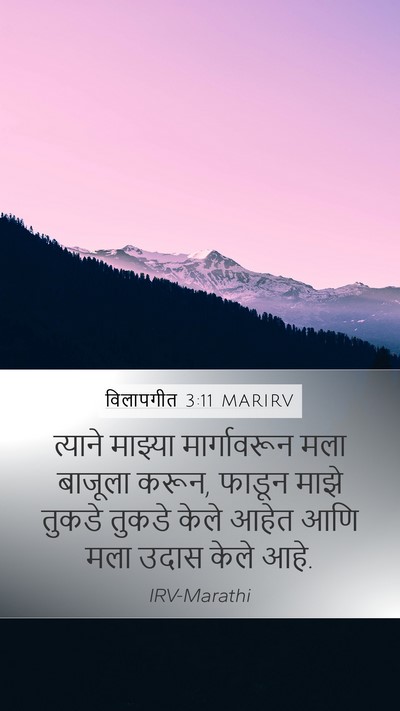 विलापगीत 3:11 MARIRV Bible Verse Image