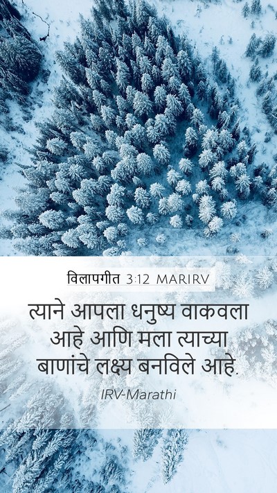 विलापगीत 3:12 MARIRV Bible Verse Image