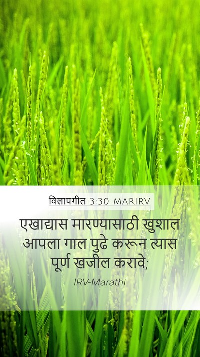 विलापगीत 3:30 MARIRV Bible Verse Image