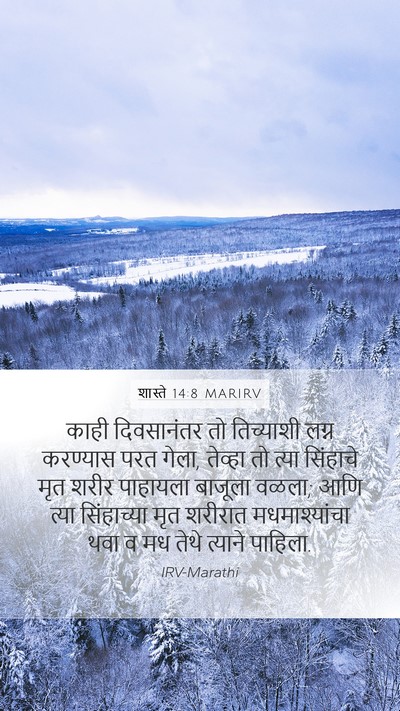 शास्ते 14:8 MARIRV Mobile Phone Wallpaper - काही दिवसानंतर तो - Mobile Bible Verse Wallpaper