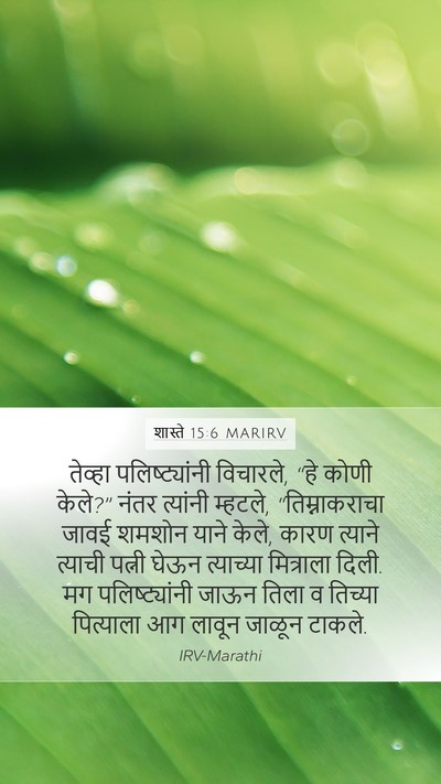 शास्ते 15:6 MARIRV Mobile Phone Wallpaper - तेव्हा - Mobile Bible Verse Wallpaper