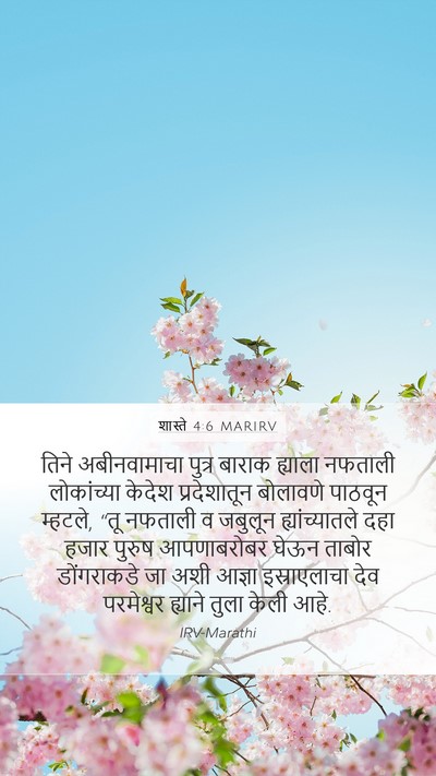शास्ते 4:6 MARIRV Bible Verse Image