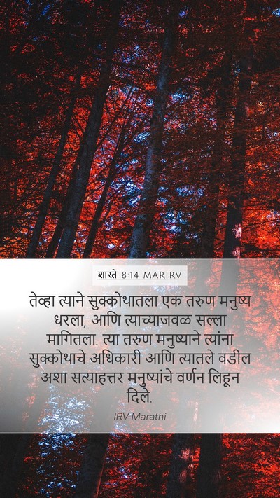 शास्ते 8:14 MARIRV Mobile Phone Wallpaper - तेव्हा त्याने - Mobile Bible Verse Wallpaper