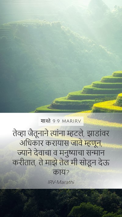 शास्ते 9:9 MARIRV Mobile Phone Wallpaper - तेव्हा जैतूनाने - Mobile Bible Verse Wallpaper