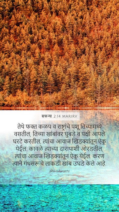 सफन्या 2:14 MARIRV Bible Verse Image