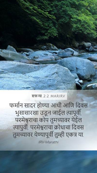 सफन्या 2:2 MARIRV Mobile Phone Wallpaper - फर्मान सादर - Mobile Bible Verse Wallpaper