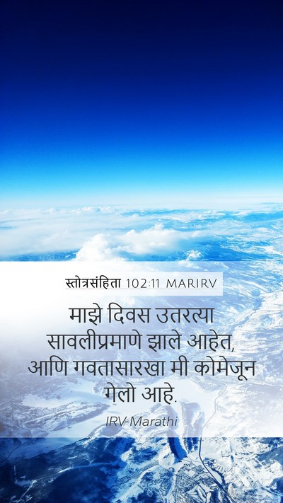 स्तोत्रसंहिता 102:11 MARIRV Bible Verse Image