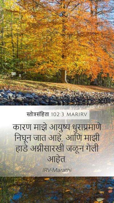 स्तोत्रसंहिता 102:3 MARIRV Bible Verse Image