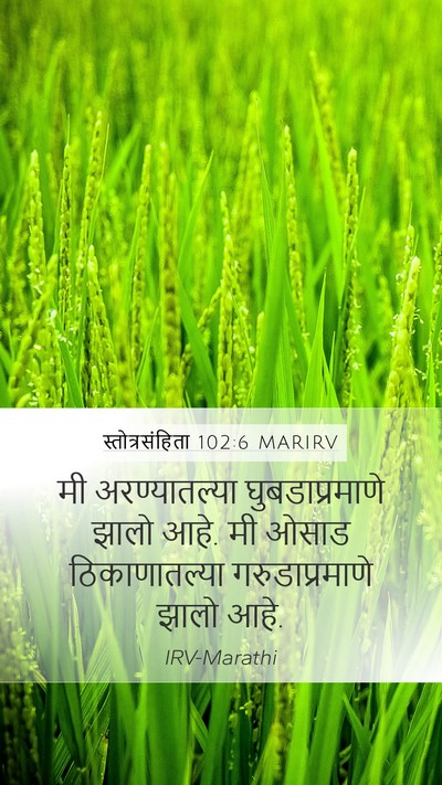 स्तोत्रसंहिता 102:6 MARIRV Bible Verse Image