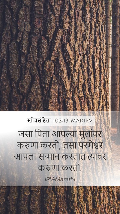 स्तोत्रसंहिता 103:13 MARIRV Bible Verse Image