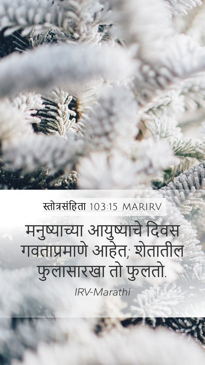 स्तोत्रसंहिता 103:15 MARIRV Bible Verse Image