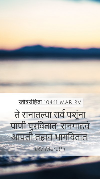 स्तोत्रसंहिता 104:11 MARIRV Bible Verse Image
