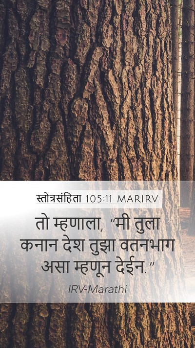 स्तोत्रसंहिता 105:11 MARIRV Bible Verse Image