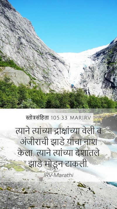 स्तोत्रसंहिता 105:33 MARIRV Bible Verse Image