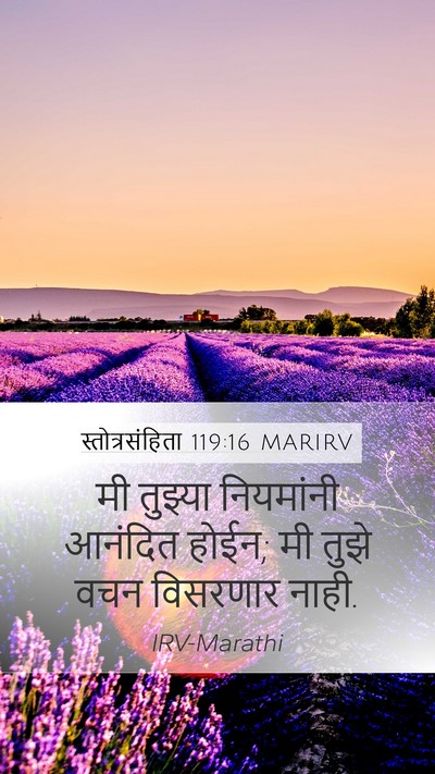 स्तोत्रसंहिता 119:16 MARIRV Bible Verse Image