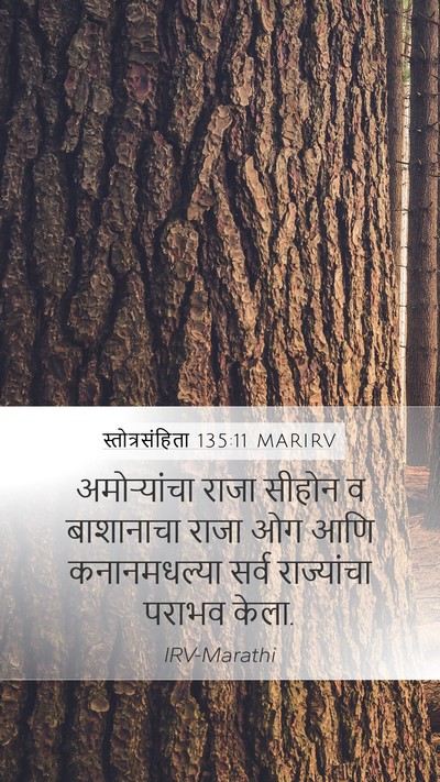 स्तोत्रसंहिता 135:11 MARIRV Bible Verse Image
