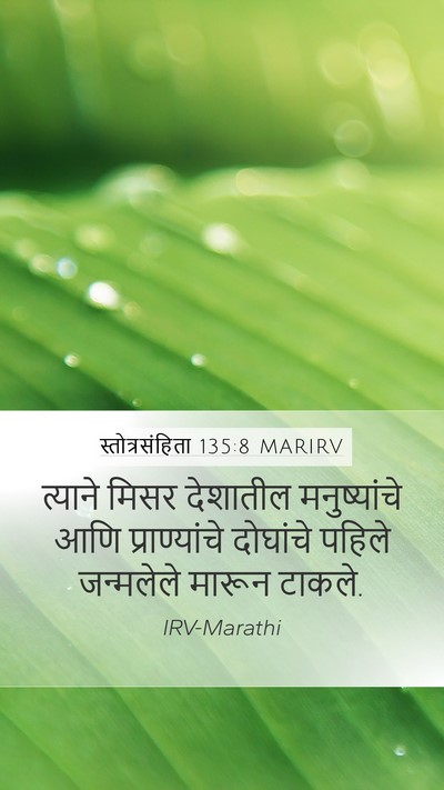 स्तोत्रसंहिता 135:8 MARIRV Bible Verse Image