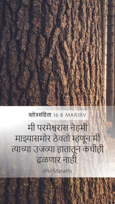 स्तोत्रसंहिता 16:8 MARIRV Bible Verse Image
