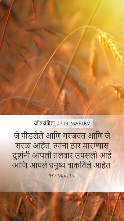 स्तोत्रसंहिता 37:14 MARIRV Bible Verse Image