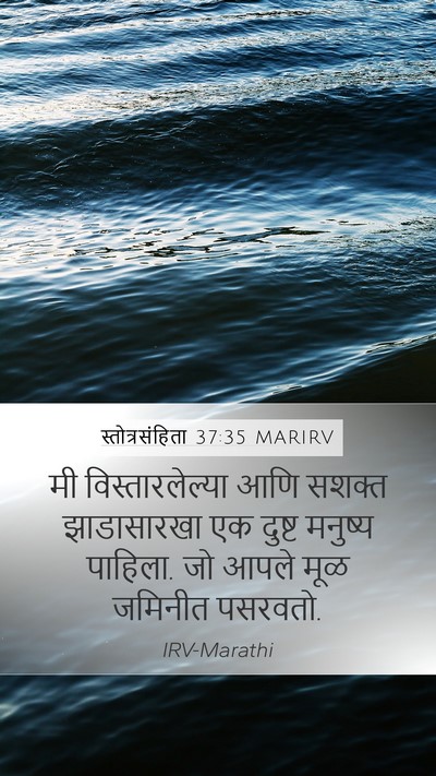 स्तोत्रसंहिता 37:35 MARIRV Bible Verse Image