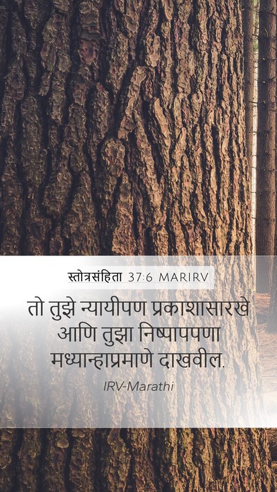 स्तोत्रसंहिता 37:6 MARIRV Bible Verse Image