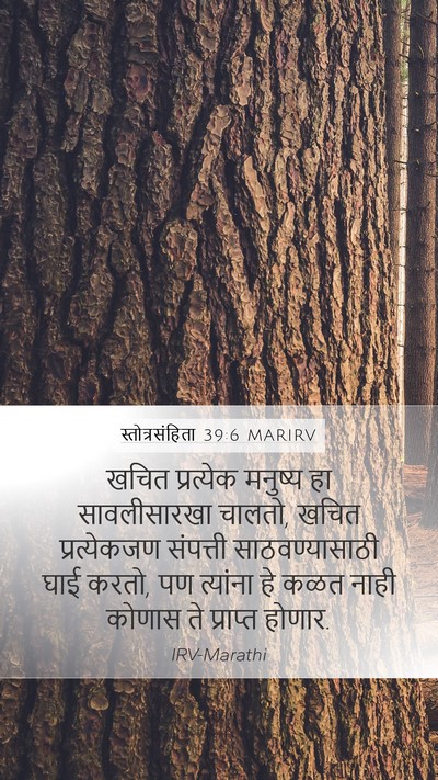 स्तोत्रसंहिता 39:6 MARIRV Bible Verse Image