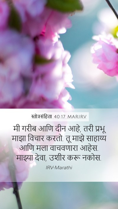 स्तोत्रसंहिता 40:17 MARIRV Bible Verse Image