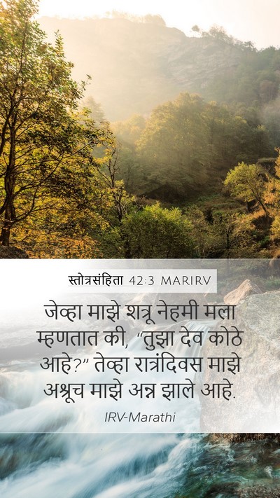 स्तोत्रसंहिता 42:3 MARIRV Bible Verse Image