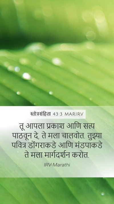 स्तोत्रसंहिता 43:3 MARIRV Bible Verse Image