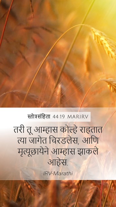 स्तोत्रसंहिता 44:19 MARIRV Bible Verse Image