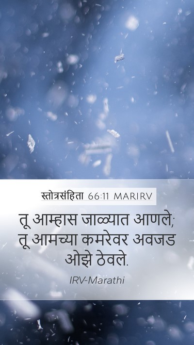 स्तोत्रसंहिता 66:11 MARIRV Mobile Phone Wallpaper - तू आम्हास जाळ्यात - Mobile Bible Verse Wallpaper