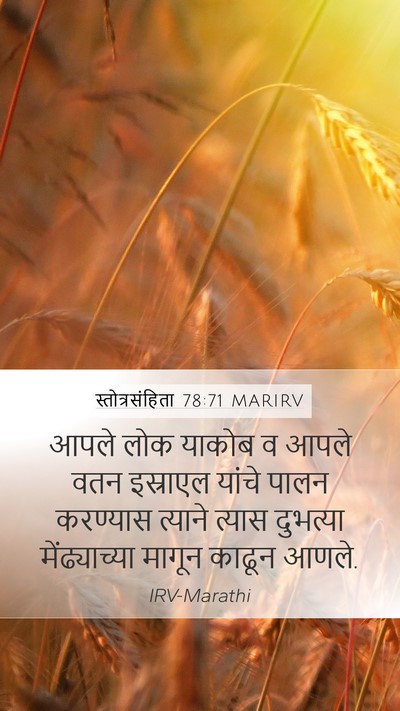 स्तोत्रसंहिता 78:71 MARIRV Bible Verse Image