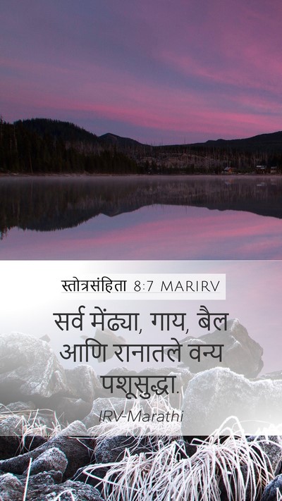 स्तोत्रसंहिता 8:7 MARIRV Mobile Phone Wallpaper - सर्व मेंढ्या, गाय, - Mobile Bible Verse Wallpaper