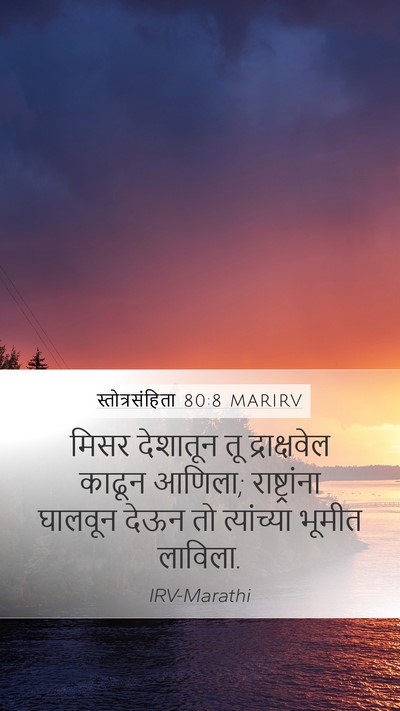 स्तोत्रसंहिता 80:8 MARIRV Bible Verse Image