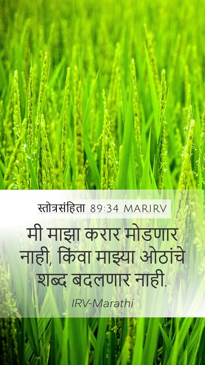 स्तोत्रसंहिता 89:34 MARIRV Bible Verse Image