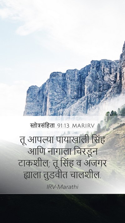 स्तोत्रसंहिता 91:13 MARIRV Bible Verse Image
