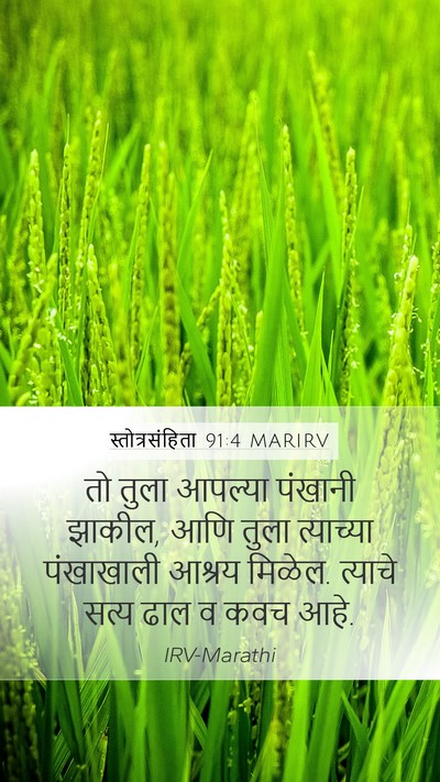 स्तोत्रसंहिता 91:4 MARIRV Bible Verse Image
