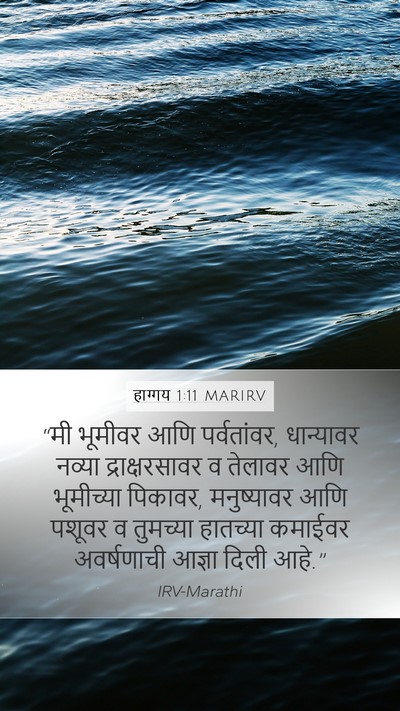 हाग्गय 1:11 MARIRV Bible Verse Image