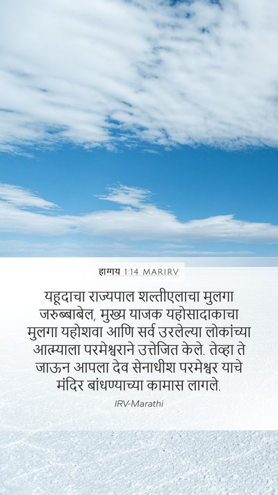 हाग्गय 1:14 MARIRV Bible Verse Image