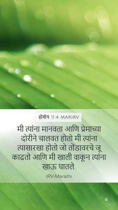 होशेय 11:4 MARIRV Mobile Phone Wallpaper - मी त्यांना मानवता - Mobile Bible Verse Wallpaper