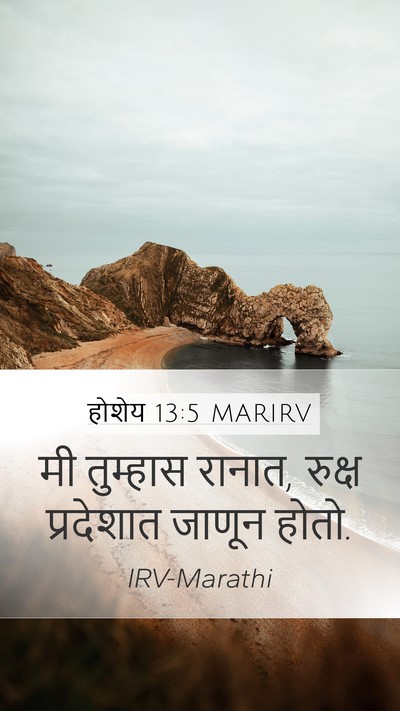 होशेय 13:5 MARIRV Bible Verse Image