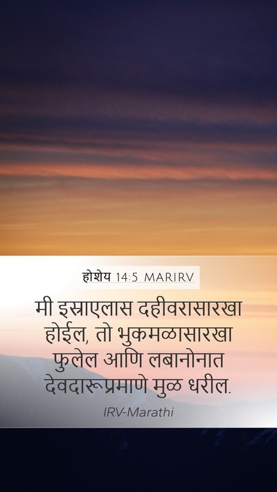 होशेय 14:5 MARIRV Bible Verse Image